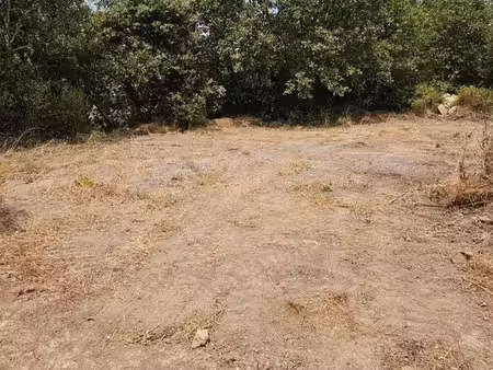 terrain location