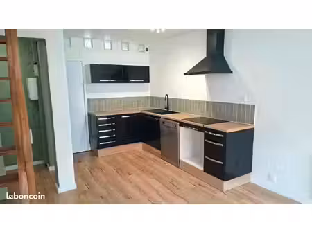 appartement duplex rénové avec 2 chambres