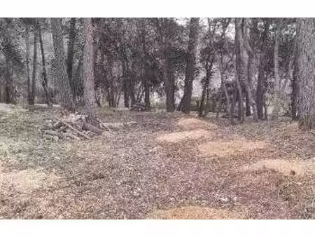 vente terrain à roquefort-les-pins (06330) : à vendre / 3221m² roquefort-les-pins