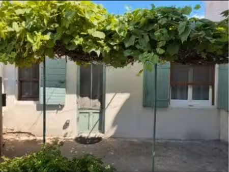 arles trinquetaille   maison de 25 m2 avec jardinet