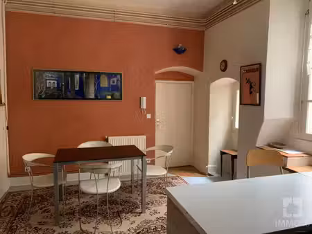 appartement t1bis en centre ville