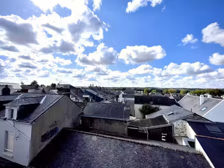 appartement centre ville ancenis