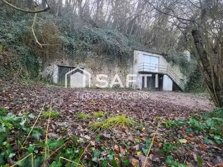 cave troglodyte pièce principal 120m2 + 3870m2 parcelle total