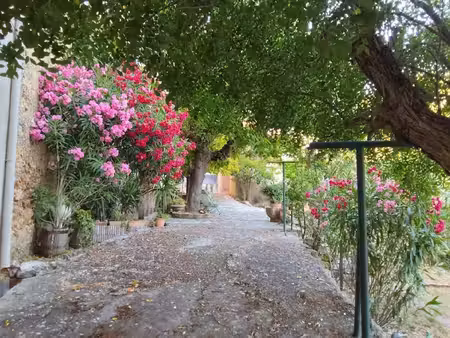 maison de village avec jardin et garage