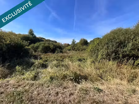 terrain à vignoux sur barangeon