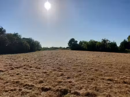 vente terrain 2006 m² seyches (47350)