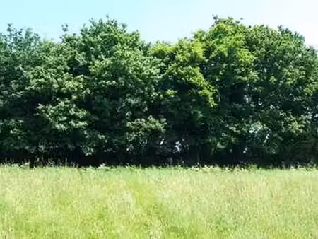 vente terrain à pléneuf-val-andré (22370) : à vendre / pléneuf-val-andré