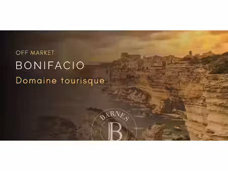 propriété avec piscine bonifacio (2a)
