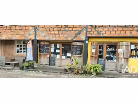 divers commerces à les trois-îlets (97229)