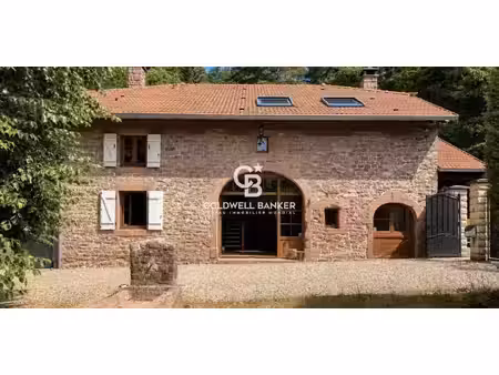 maison avec terrasse taintrux (88)