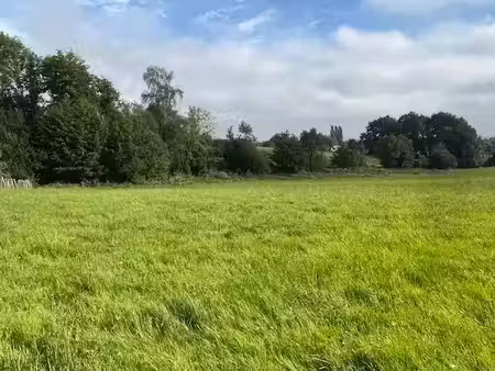 vente terrain 1590 m² à arcizac-adour (65360)  38 000 €