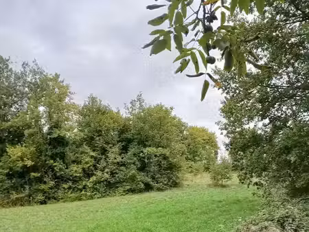vente terrain 4600 m² à riberac (24600)  30 000 €
