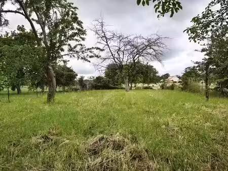 vente terrain 2500 m² à montmorillon (86500)  46 000 €