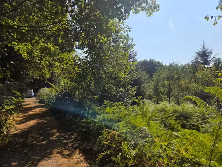 achat terrain 16 790m² le tholy 88530