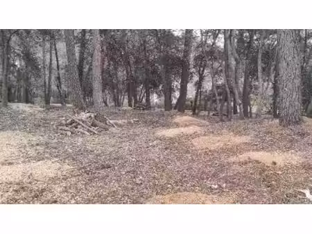 magnifique terrain constructible de 3 221 m² – roquefort-les-