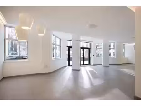 location local professionnel 600m²