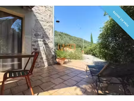 mas avec pisicne