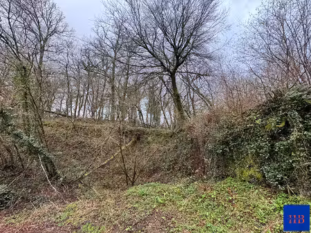 achat terrain 4 705m²