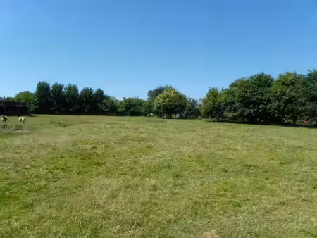 terrain à bâtir à belin-béliet (33830)