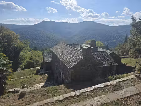 ensemble de deux mas cévenols avec 9 hectares de châtaigneraie