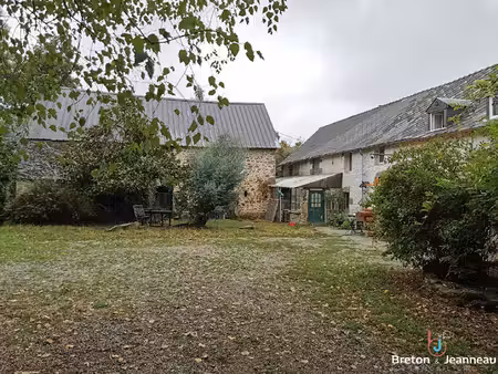 maison sur 2 5ha à vimartin sur orthe