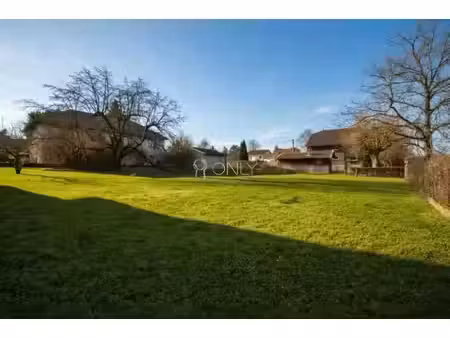 neuville-sur-saône terrain 963m²