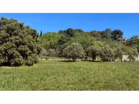 vente terrain 780 m² à lagnes (84800)  260 000 €