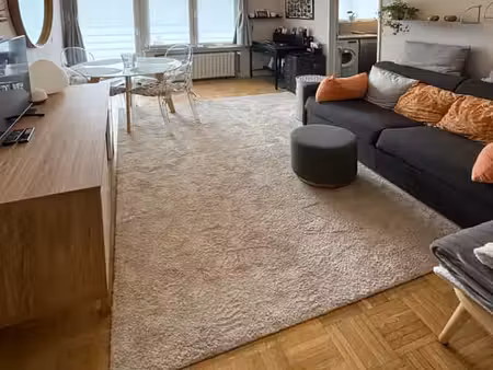 bel appartement 1 chambre avec grande terrasse – koekelberg