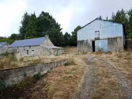 vente longère et corps de ferme à ploërdut (56160) : à vendre / 85m² ploërdut