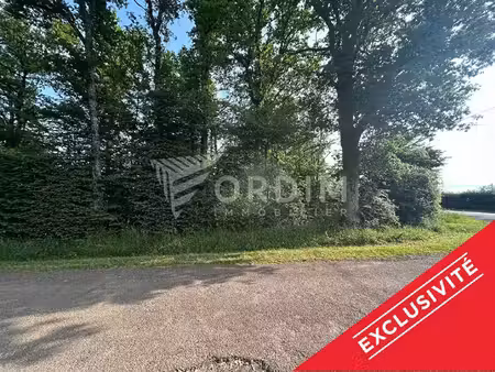 vente terrain 1137 m² toucy (89130)