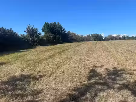 vente terrain 1196 m² à saint-savin (33920)  50 000 €