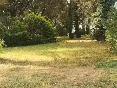 vente terrain 1030 m² à saint-maixant (33490)  68 000 €
