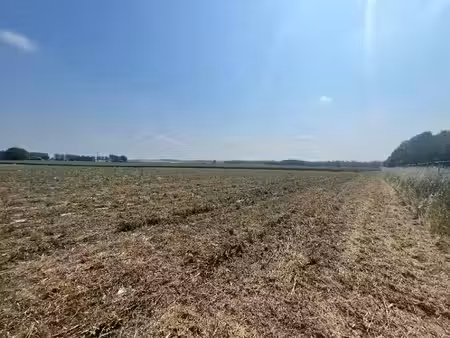 vente terrain 1000 m² à lattre-saint-quentin (62810)  71 000 €
