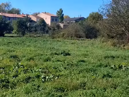 vente terrain 1561 m² à valdurenque (81090)  71 000 €