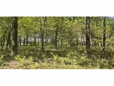 vente terrain 472 m² à belin-béliet (33830)  128 000 €