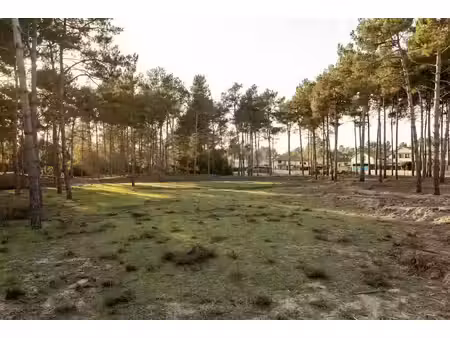 vente terrain 900 m² à bouliac (33270)  270 000 €