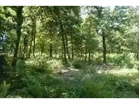 vente terrain 612 m² à audenge (33980)  223 000 €