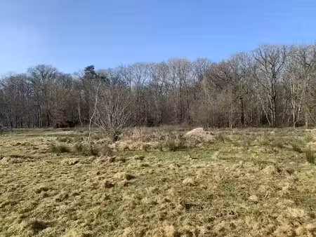 vente terrain à batir 5040 m² à vieille-eglise-en-yvelines (78125)  290 000 €