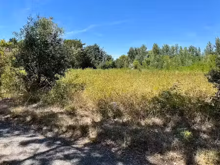 vente terrain 1111 m² à castelnaudary (11400)  95 000 €
