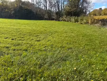 vente terrain 730 m² à portets (33640)  110 000 €