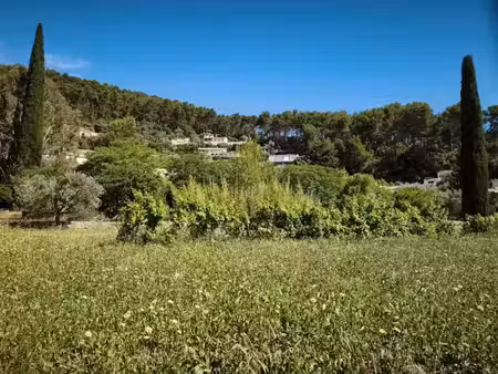 vente terrain 501 m² à sollies-pont (83210)  220 000 €