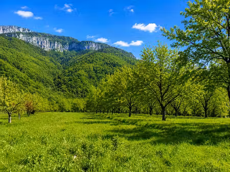 terrain à bâtir verdoyant à moins de 30 minutes de grenoble