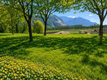 terrain à bâtir verdoyant à moins de 30 minutes de grenoble