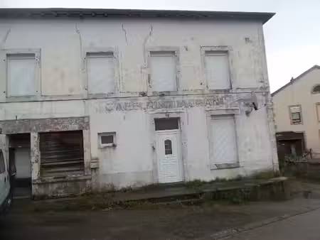 vente maison 7 pièces 251 m² à baccarat (54120)  55 000 €