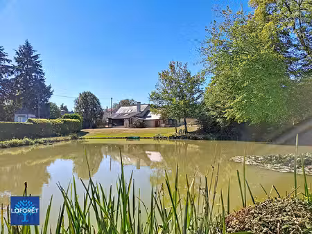 propriété de caractère avec étang sur plus de 2 hectares - proche aubigny-sur-nère