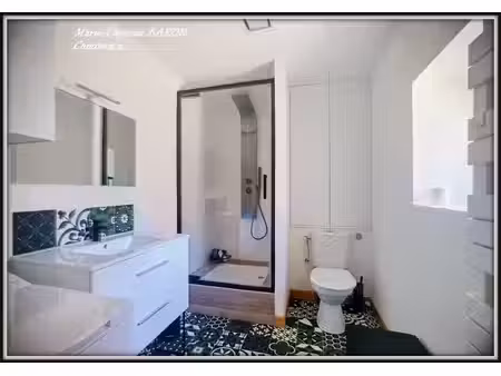 maison a finir de renover 41m2 sainte gemme (36)