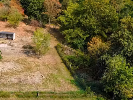 terrain