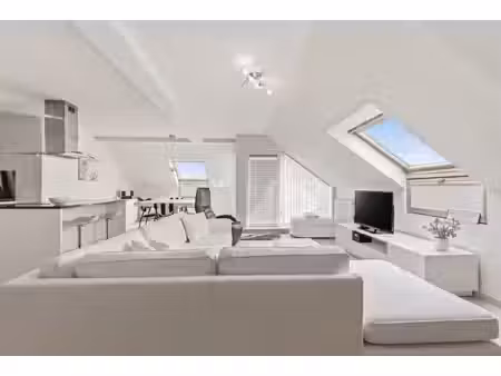 luxueus / zonnig