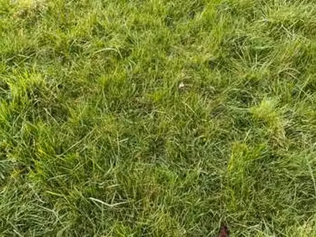 vente terrain à bourg-blanc (29860) : à vendre / bourg-blanc