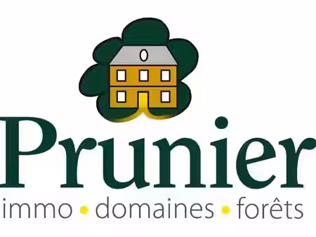 vente immeuble 20 pièces 500 m² à autun (71400)  1 020 000 €